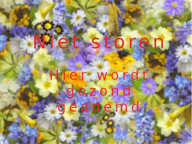 Buteyko-voor-bedrijven